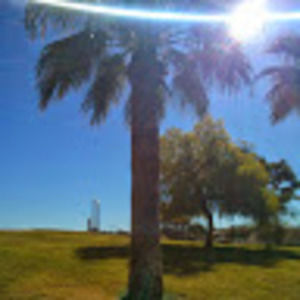 Meet your Posher, Daphne